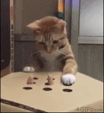 63 animated gifs.gif