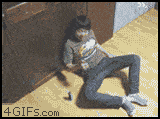 80 animated gifs.gif