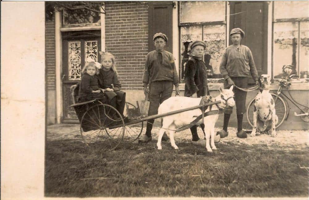 Epos-De-kinderen-Bijvoet-met-de-geitenkar-Foto-collectie-Ton-Slot.thumb.jpg.842474b15545a752305daba29d5d4705.jpg