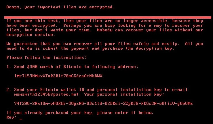 Petya.jpg