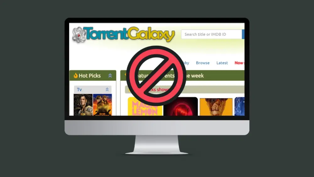 TorrentGalaxy-not-working-Top-Proxy-and-Alternatives-in-2024.webp